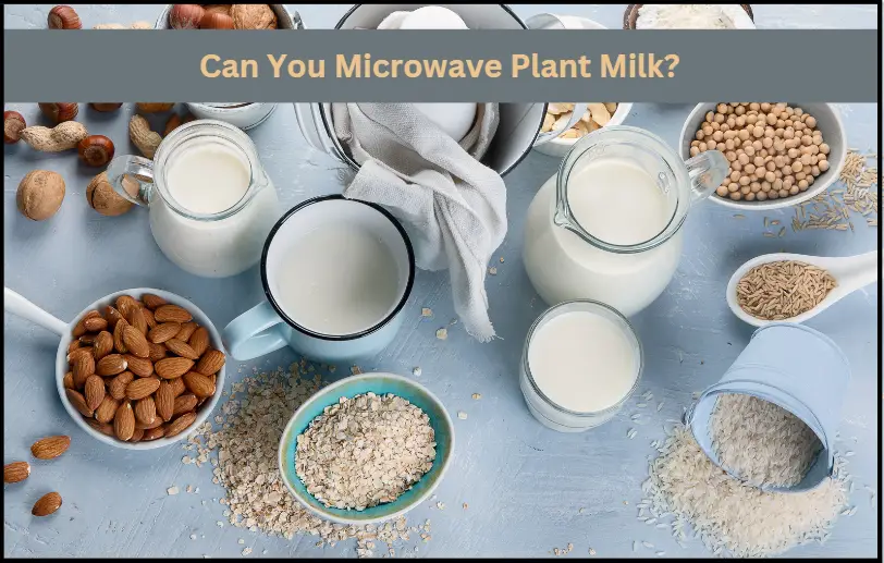 several nuts used to make plant milk
