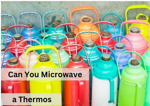 Can You Put a Thermos in the Microwave?